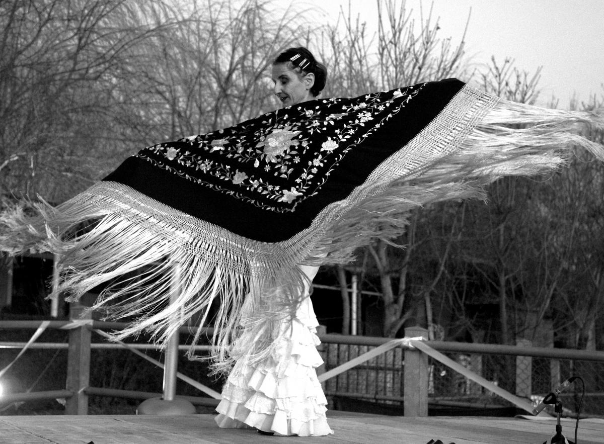 Paola savino danza il flamenco a Limbiate